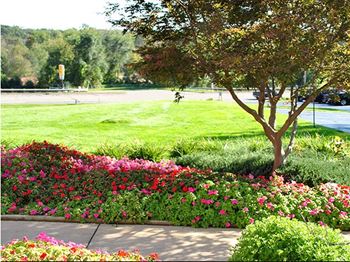 Park-like setting